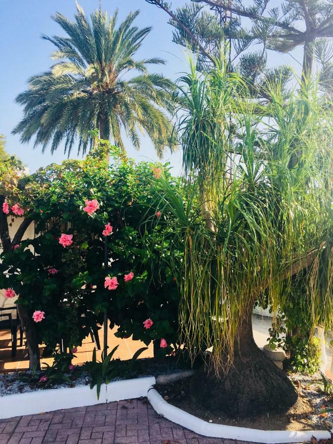 El Cortijo De Miguel Villa เนร์คา ภายนอก รูปภาพ